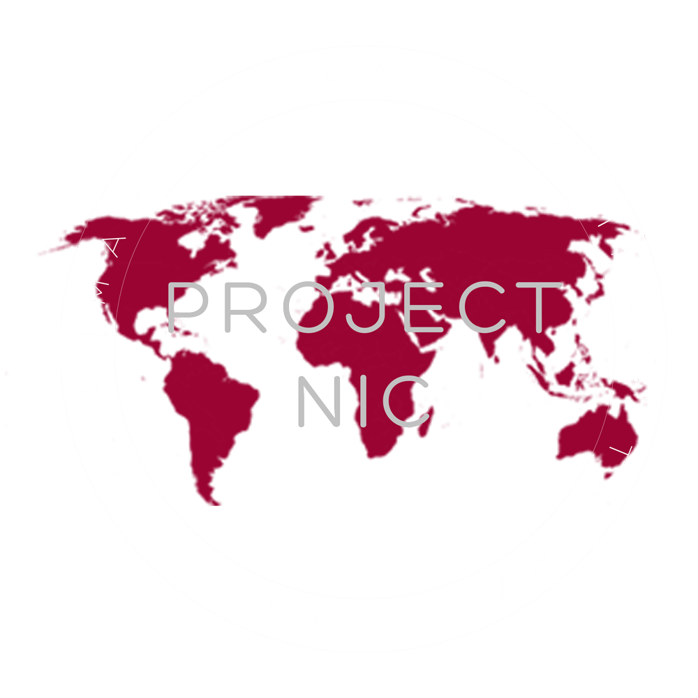 Project Nic Footer Logo V2