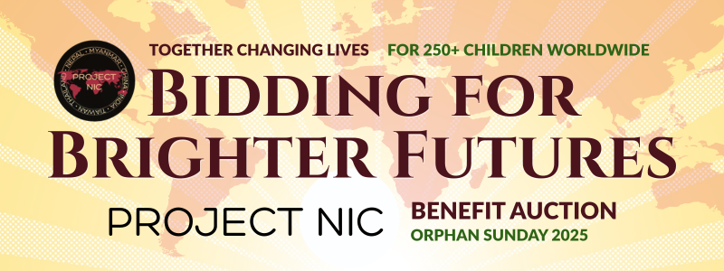 Bidding for Brighter Futures Project Nic Auction Banner