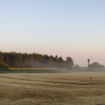 A quiet rural setting leading toward a small Missouri town in soft morning light.