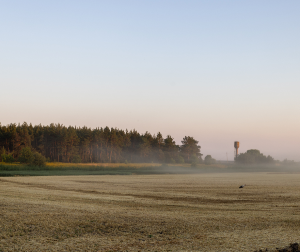 A quiet rural setting leading toward a small Missouri town in soft morning light.