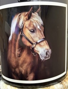 Horse blanket